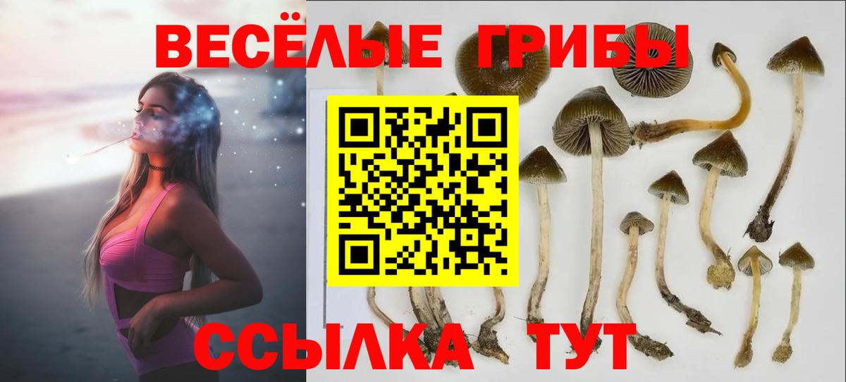 Псилоцибиновые грибы прущие грибы  Вход с VPN  дарнет шоп  Рославль 